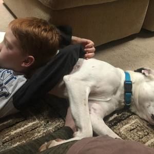 Meet your Posher, Corinna